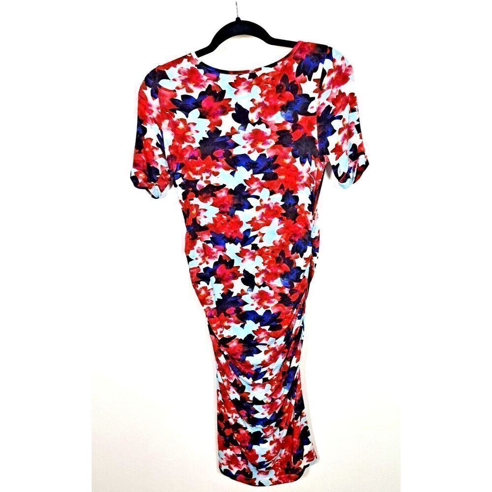Isabella Oliver A PEA IN THE Maternity Dress Size 1 Small Pink Floral Rouched